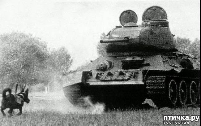 ���� 1: ������ ������� �����������...