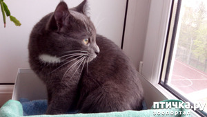 ����: � � ���� � �����