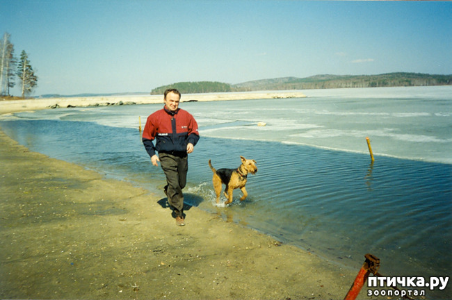 ���� 2: ��� ������