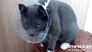 ����: ��� ���� � �������