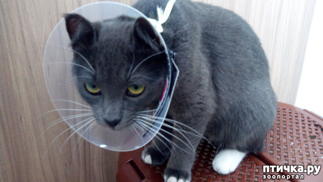 ���� 1: ��� ���� � �������