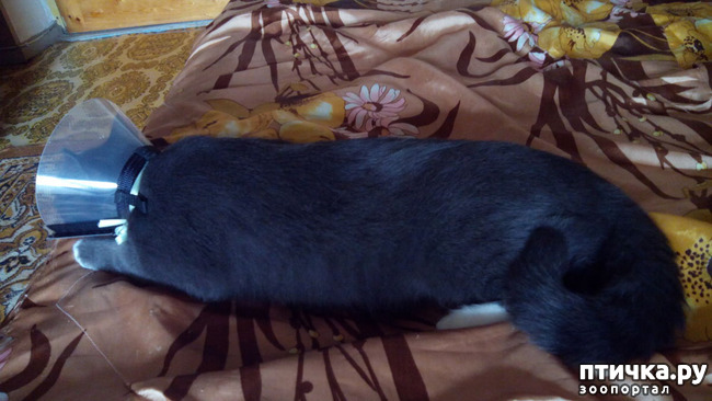 ���� 2: ��� ���� � �������