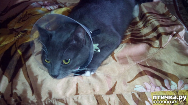 ���� 3: ��� ���� � �������