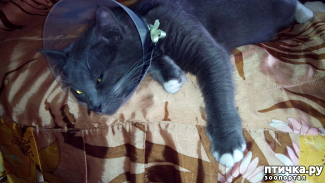 ���� 4: ��� ���� � �������