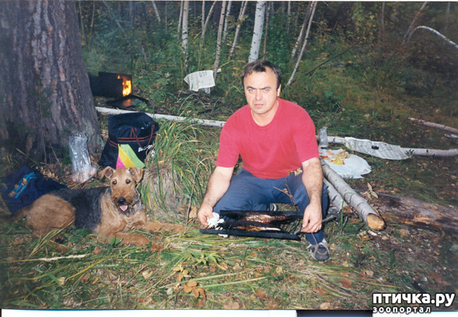 ���� 3: ��� ������