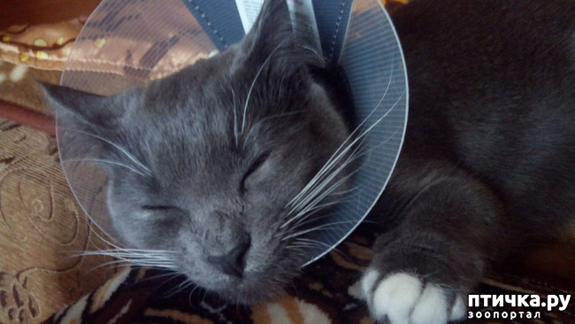 ���� 5: ��� ���� � �������