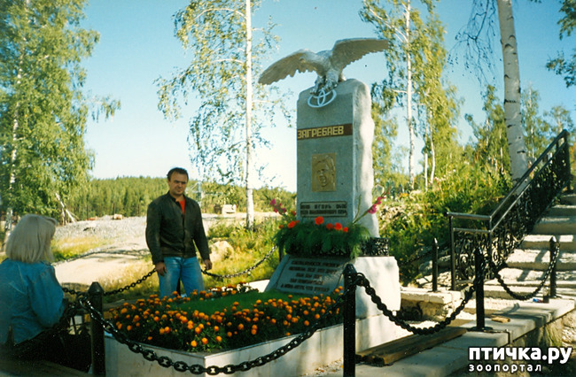 ���� 4: ��� ������