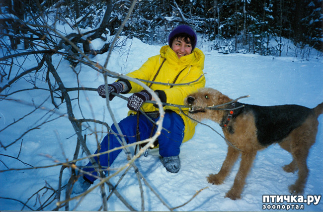 ���� 5: ��� ������