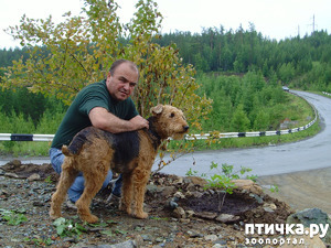 ����: ���.