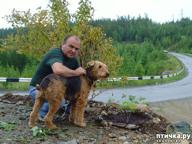 ���� 1: ���.