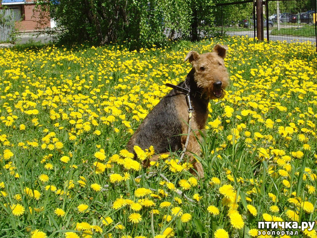 ���� 4: ���.