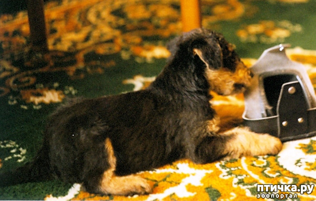 ���� 2: ���.