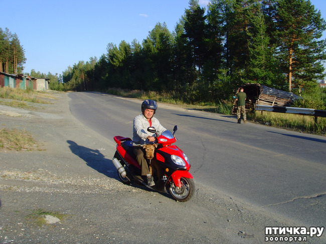 ���� 3: ���.