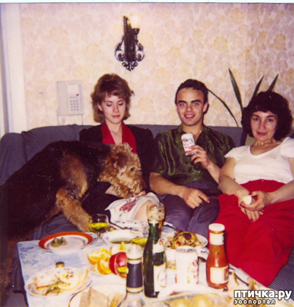 ���� 1: ��� ������