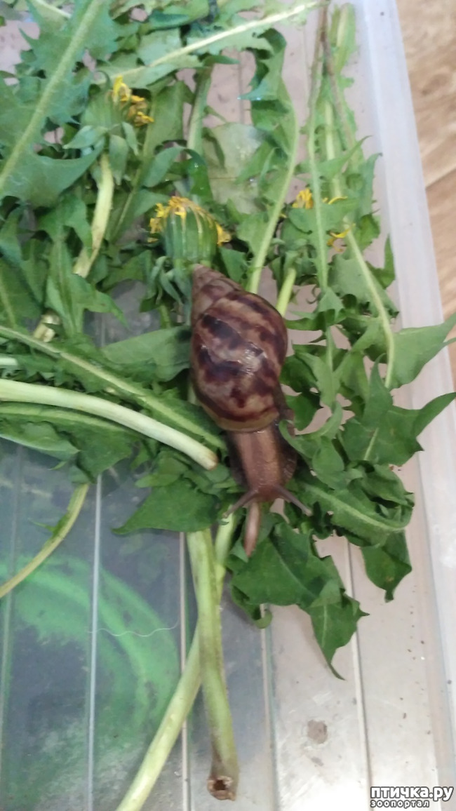 ���� 1: ������ ������ ������