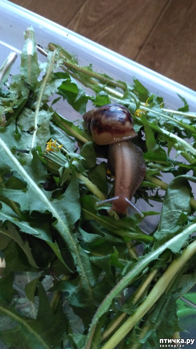 ���� 2: ������ ������ ������