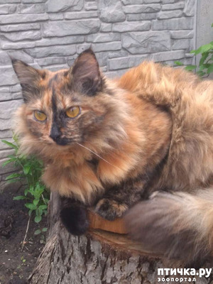 ����: ����� � ������ ���������� ����.