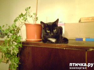 ����: ������ ��������.