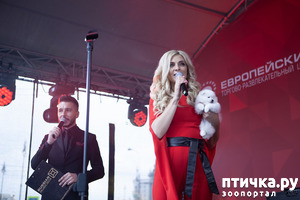 ����: ����������� ������� � ����� ��� ������ ������ ��������� �������