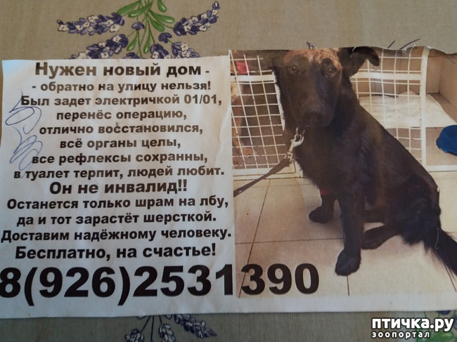 ���� 1: ��������� ���