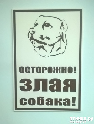 ����: "���������, ���� ������!"