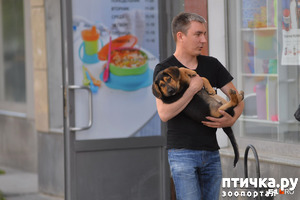 ����: ��� ������, ���� ���� ������ �������� ����������