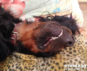 ����: ������ �������)))