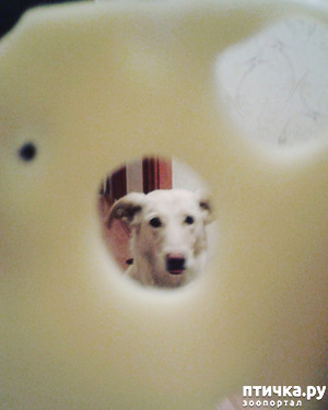 ����: � ����� �����!