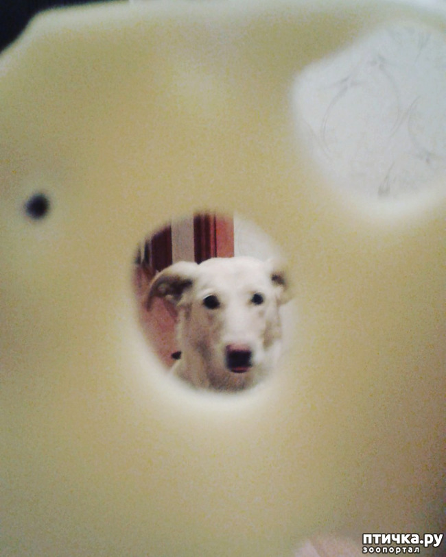 ���� 1: � ����� �����!