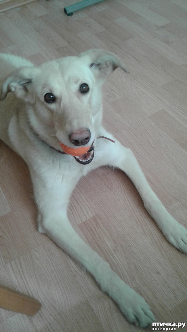 ���� 2: � ����� �����!