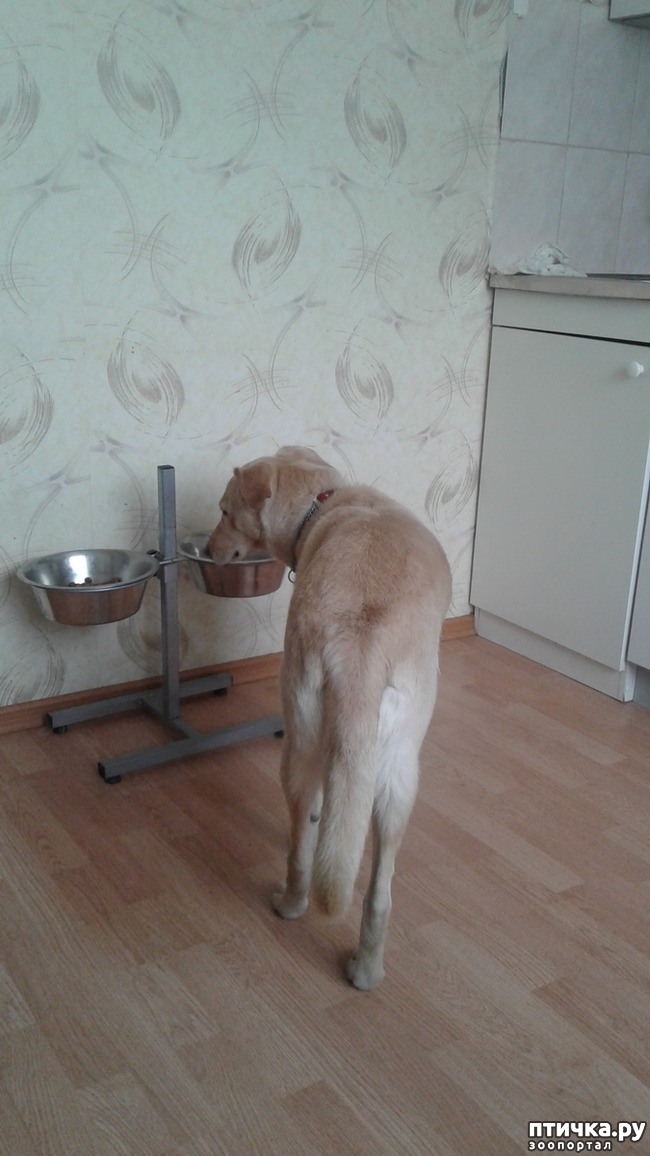 ���� 3: � ����� �����!