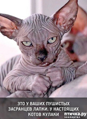 ����: �������� �����