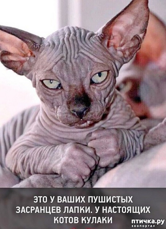 ���� 1: �������� �����