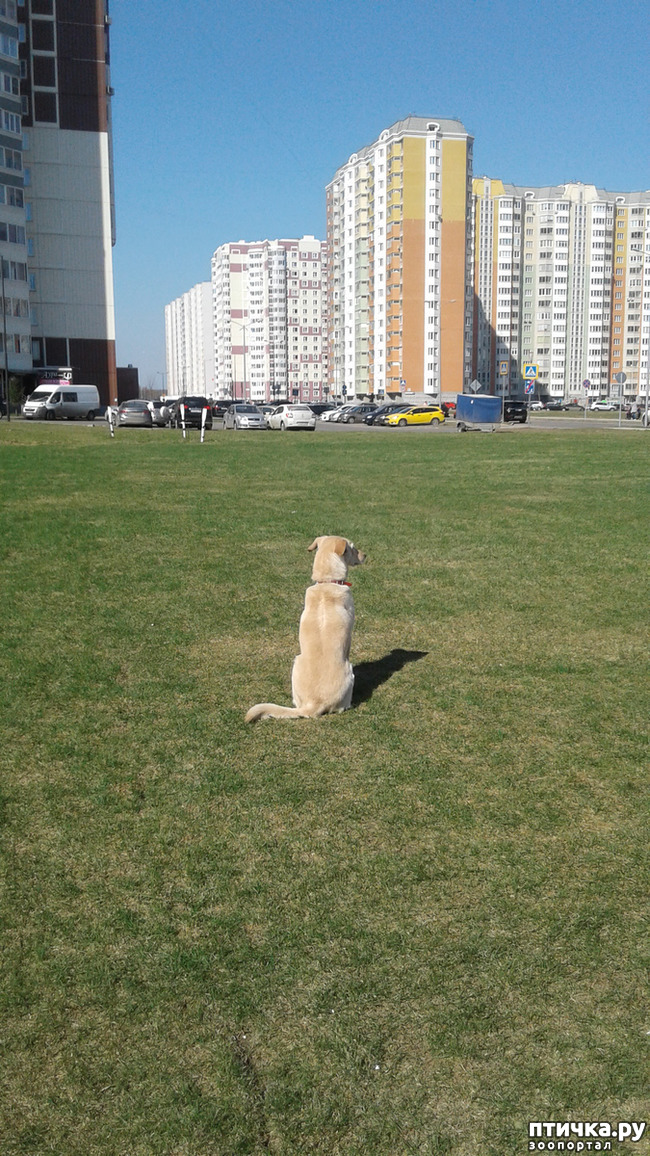 ���� 4: � ����� �����!