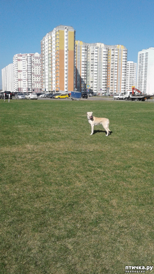 ���� 5: � ����� �����!