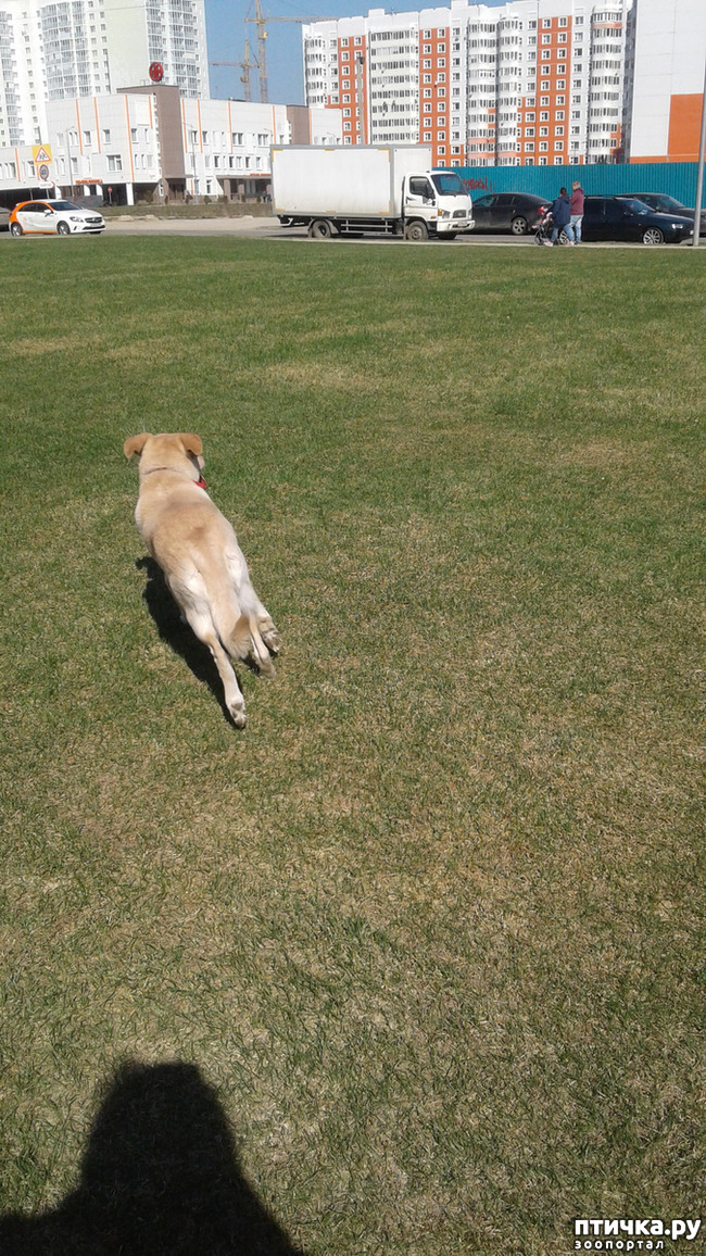 ���� 6: � ����� �����!