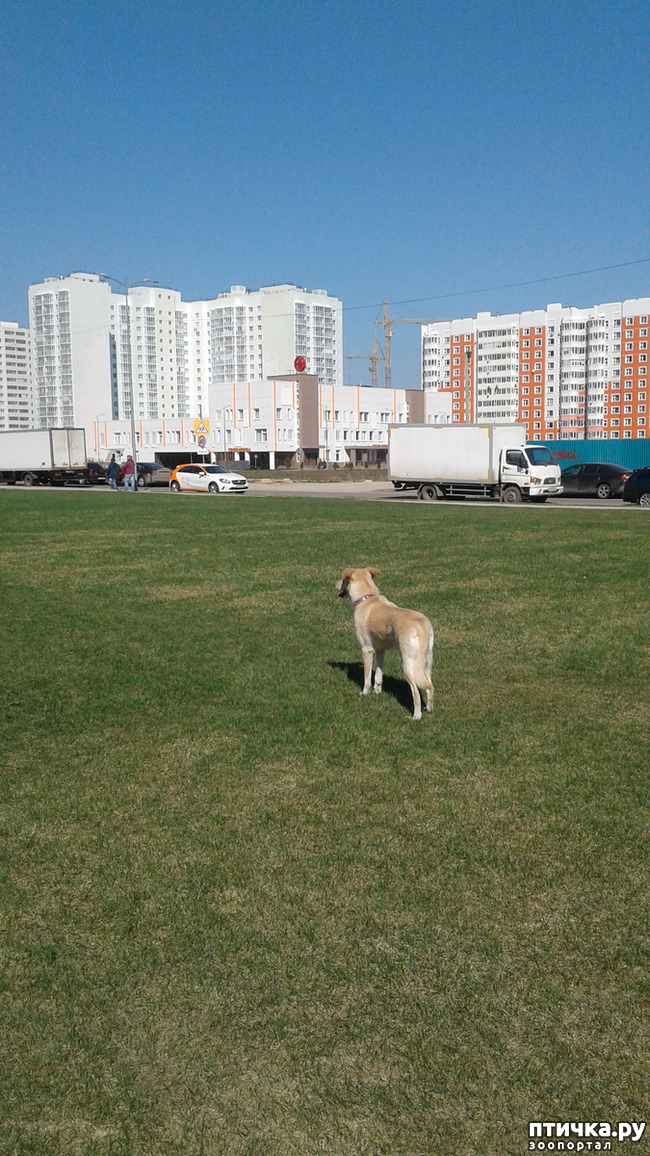 ���� 7: � ����� �����!