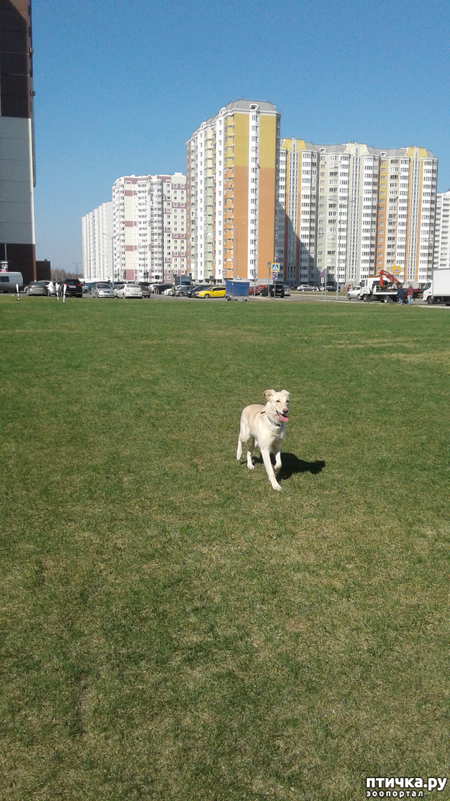 ���� 8: � ����� �����!