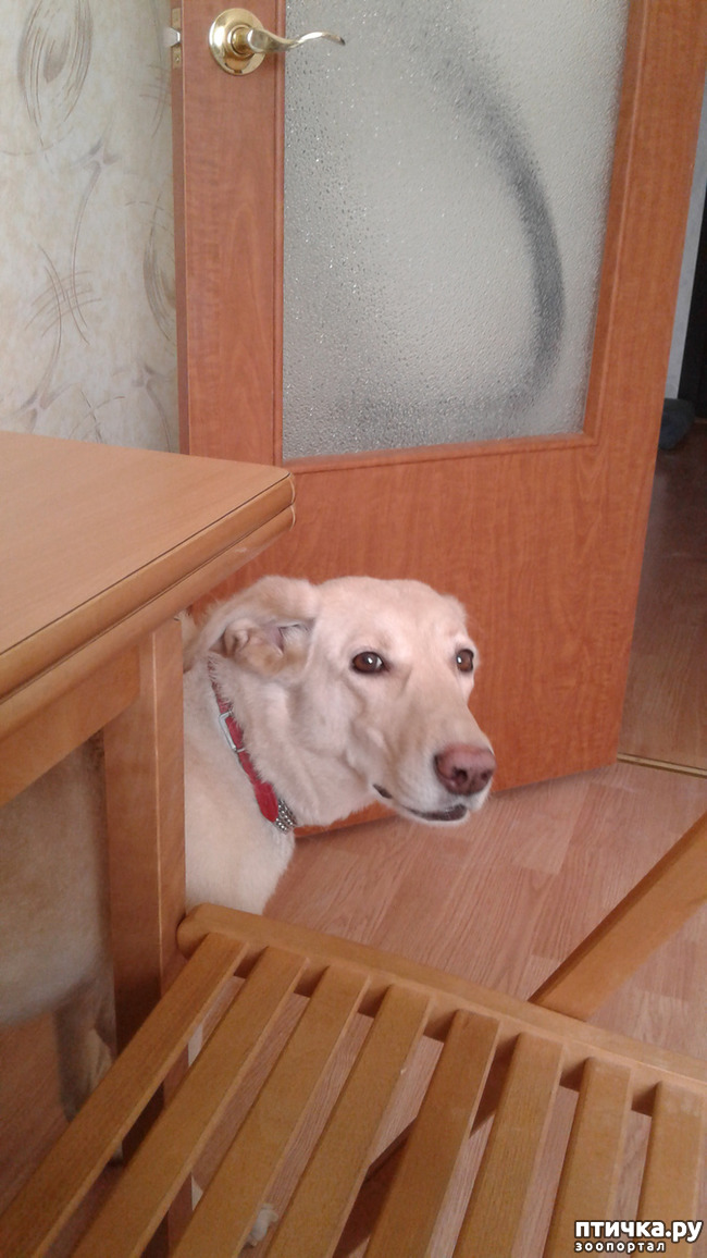 ���� 9: � ����� �����!