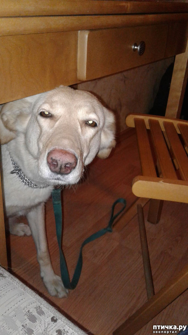 ���� 10: � ����� �����!