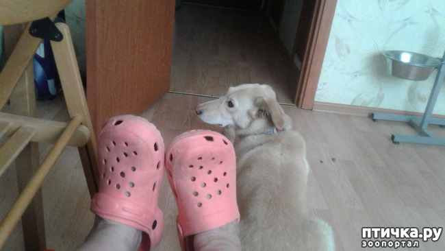 ���� 11: � ����� �����!