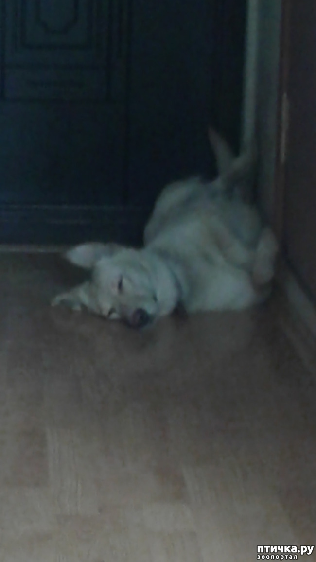 ���� 12: � ����� �����!