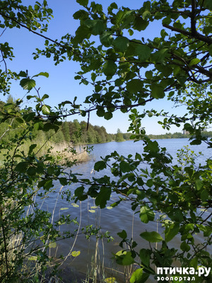 ����: �����