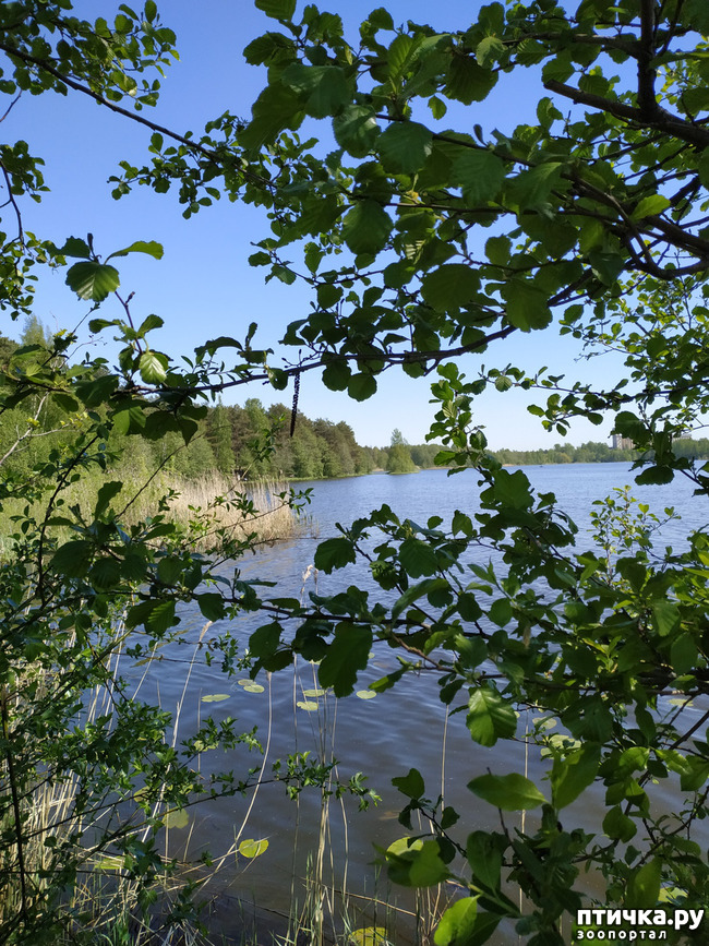 ���� 1: �����