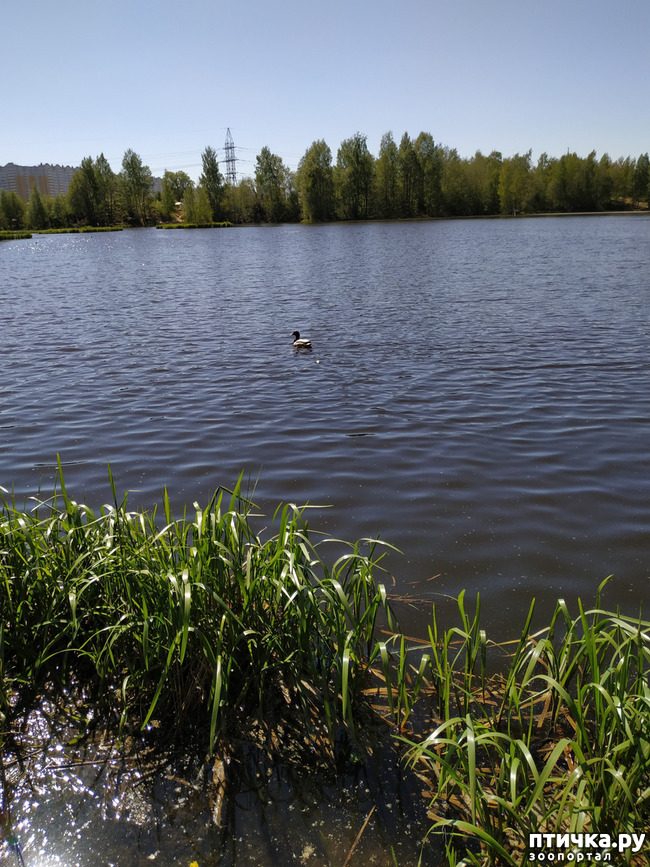 ���� 4: �����