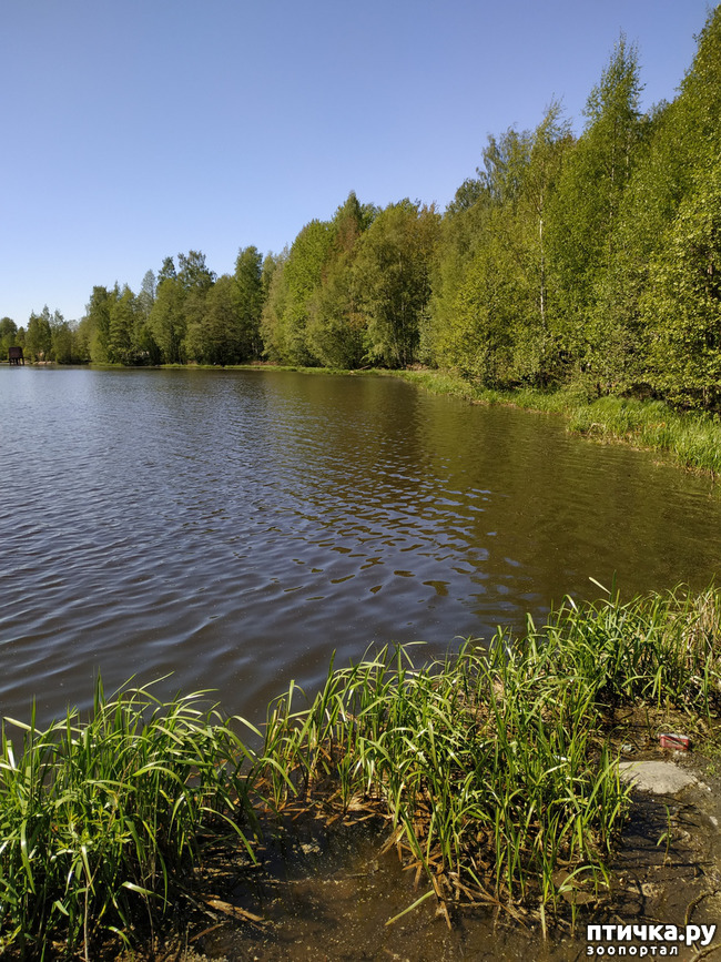 ���� 3: �����