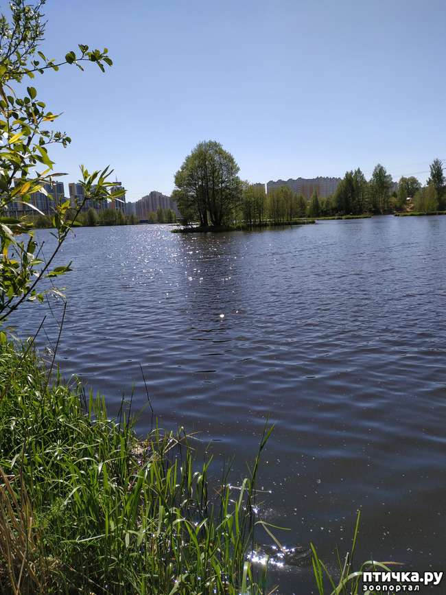 ���� 5: �����