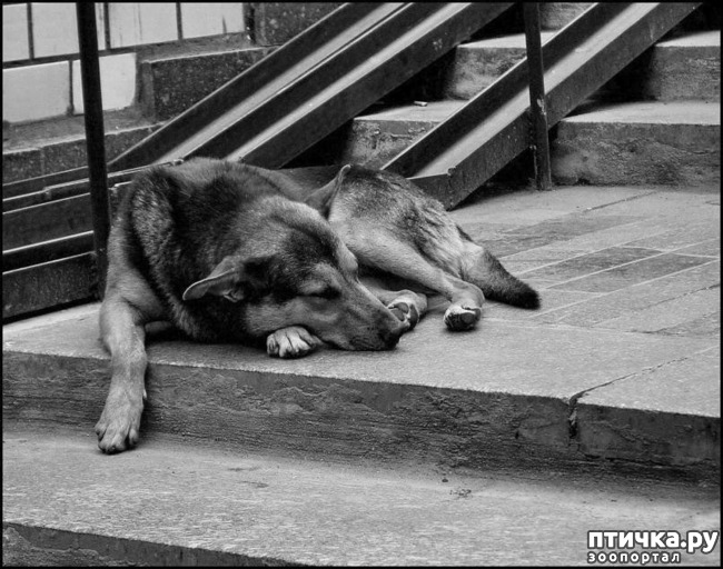 ���� 1: �� ������ ����, �����...