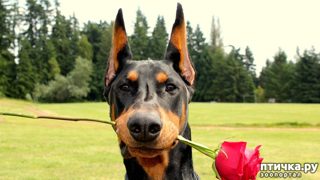 ���� 1: ��� ����!