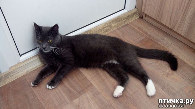 ���� 1: ������� �������